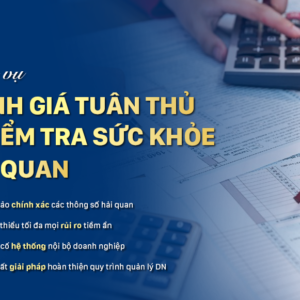 Dịch vụ đánh giá tuân thủ và kiểm tra sức khỏe hải quan (Customs Health Check)