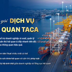 Dịch vụ hải quan toàn diện dành cho doanh nghiệp xuất nhập khẩu