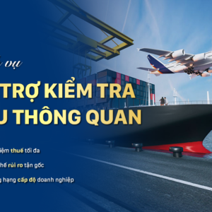 Dịch vụ Hỗ trợ Kiểm tra sau thông quan (PCA Support Service)