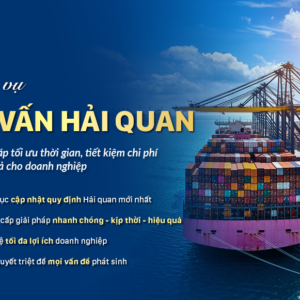 Dịch vụ tư vấn hải quan – giải pháp tối ưu thời gian, chi phí hiệu quả